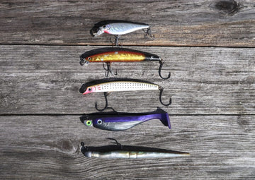 What Color Lure Should I Use? A Simple Fishing Lure Color Guide