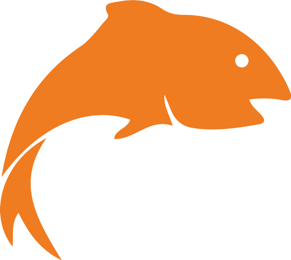 Best Fishing Jigs, Lures & Premium Tackle | Jiggy Lures Collection