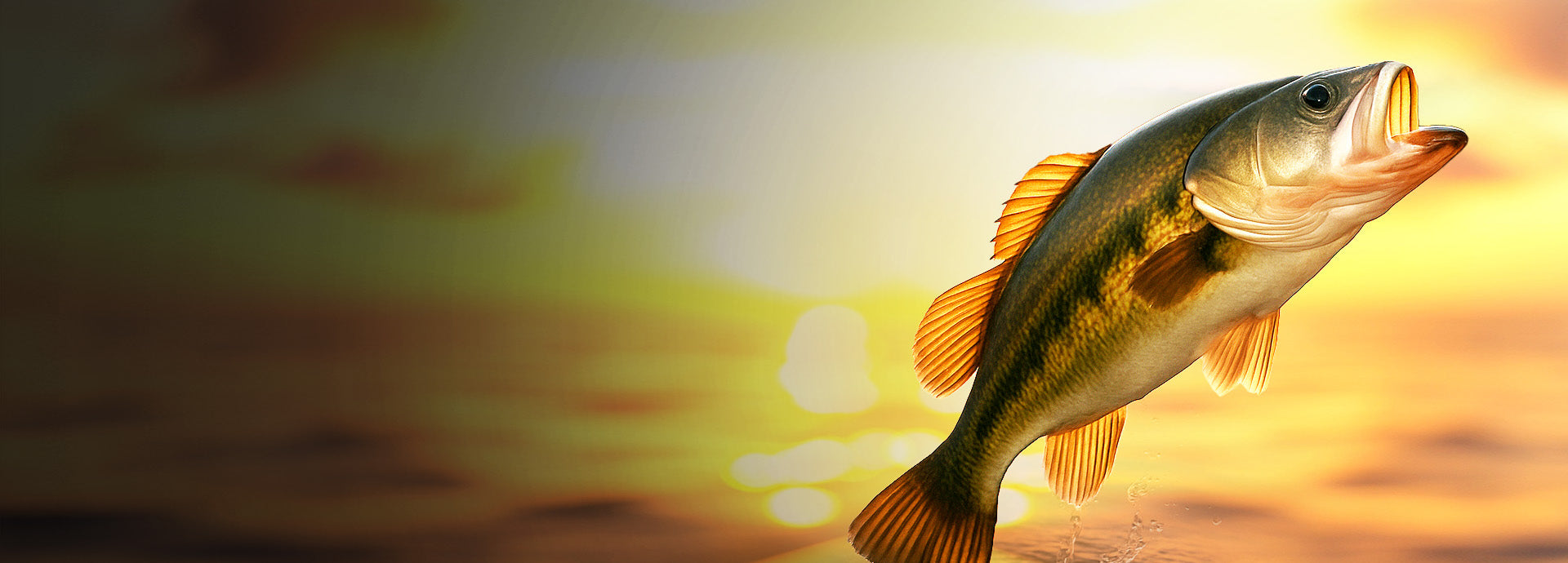 slider image 1621243260e1af0c20-0